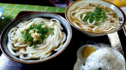 丸池製麺所 かけうどん