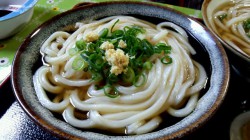 丸池製麺所 かけうどん2