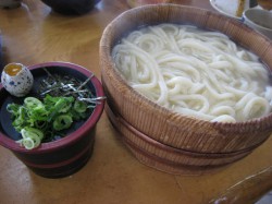 さぬきや たらいうどん(横のつゆはざるのもの)