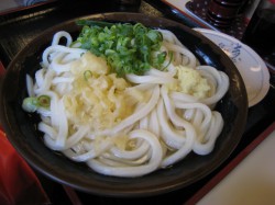 手打十段　うどんバカ一代 かけうどん